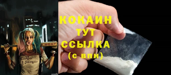 индика Арсеньев