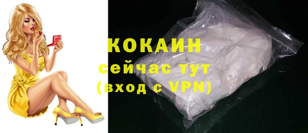 индика Арсеньев