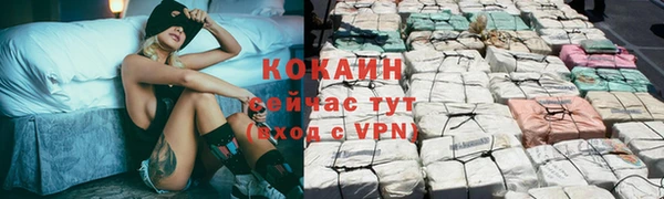 индика Арсеньев